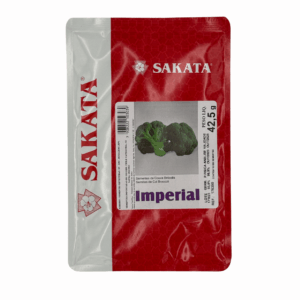 Semilla de brócoli