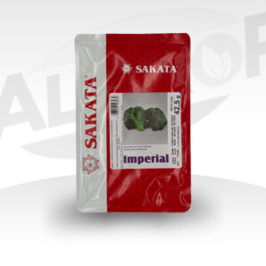 Semilla de brócoli