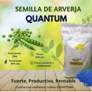 Semilla De Arveja Super Mejorada Quantum 25 Kl Alicrop