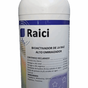 Raici