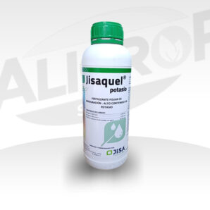 Jisaquel - Potasio