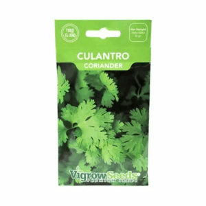 Semilla de culantro long stading mejorado