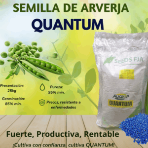 Semilla de arveja super mejorada Quantum Alicrop