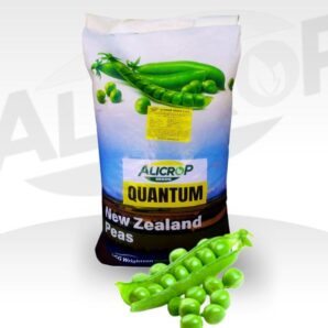 Semilla de arveja super mejorada Quantum Alicrop