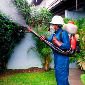 Saneamiento ambiental